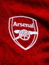 Arsenal Home Fan Version